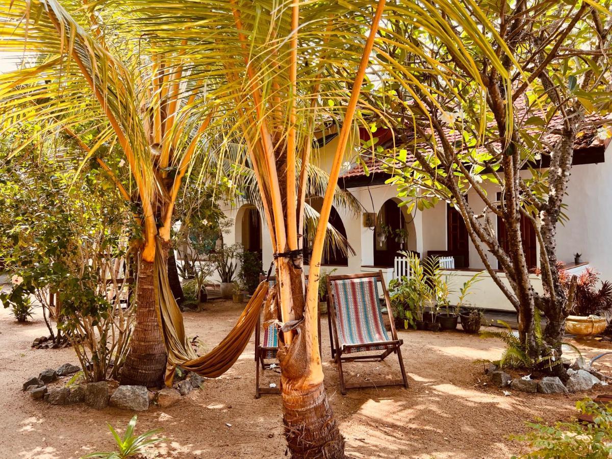 Little Lagoon Hostel Аругам Экстерьер фото
