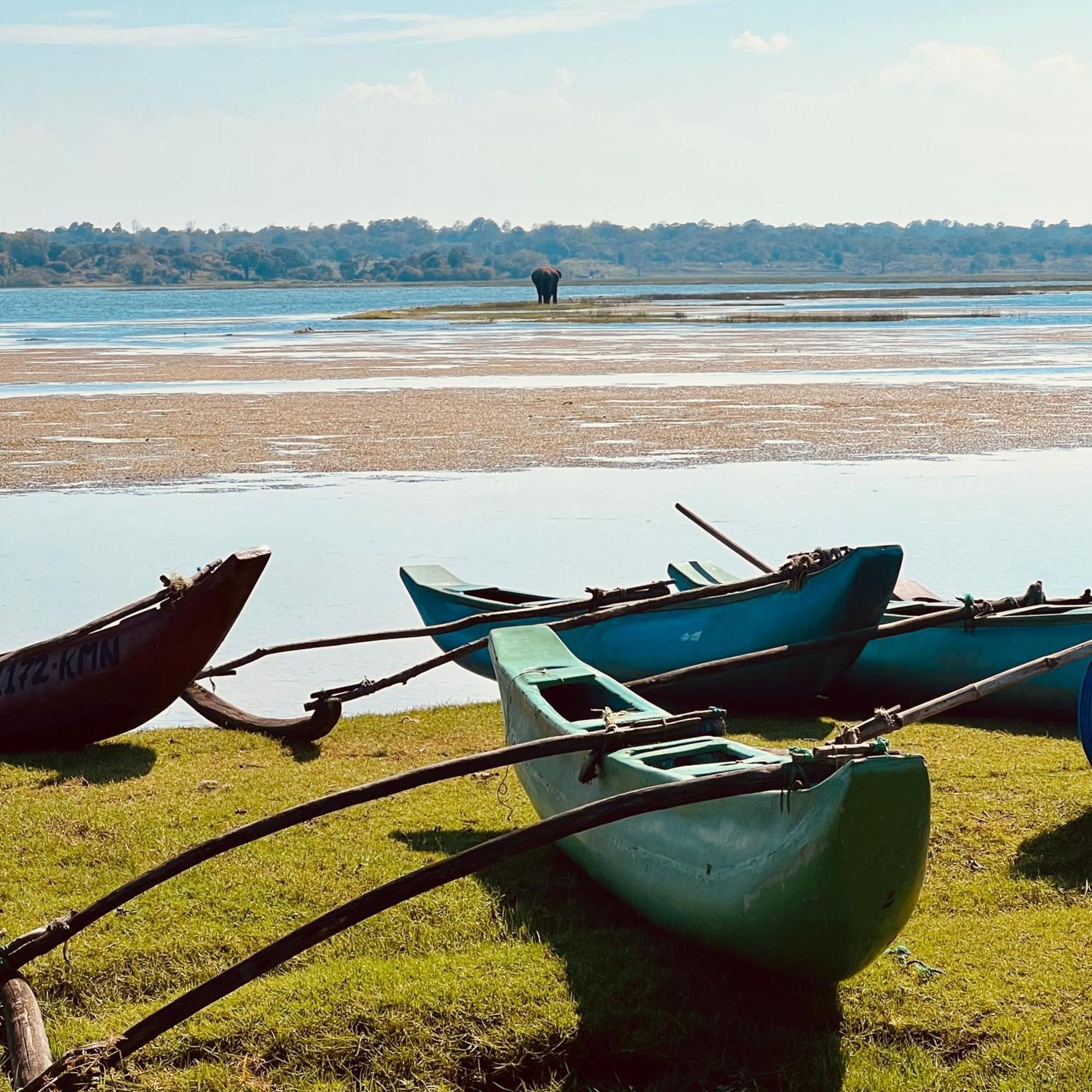 Little Lagoon Hostel Аругам Экстерьер фото